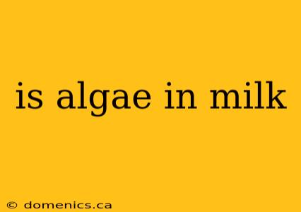 is algae in milk