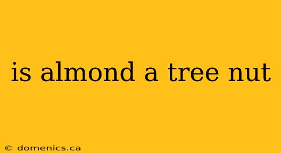 is almond a tree nut