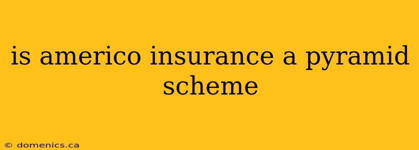 is americo insurance a pyramid scheme