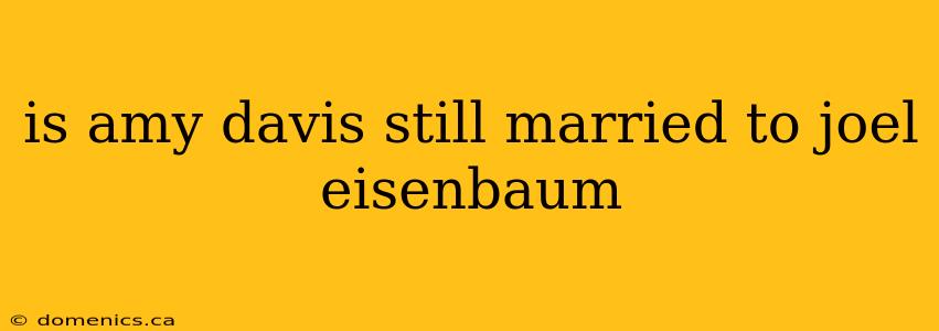 is amy davis still married to joel eisenbaum