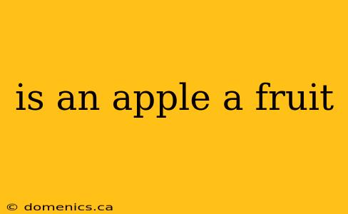 is an apple a fruit