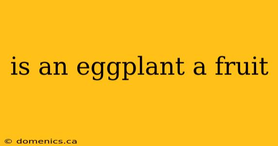 is an eggplant a fruit