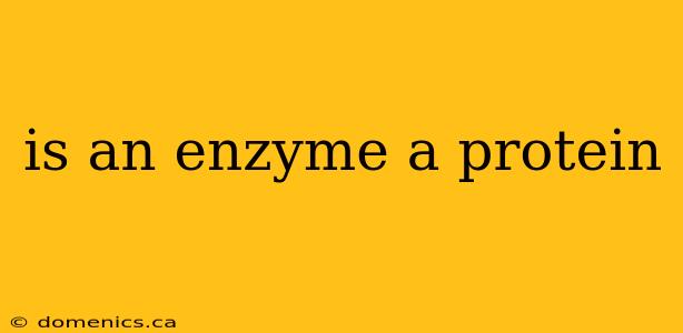 is an enzyme a protein