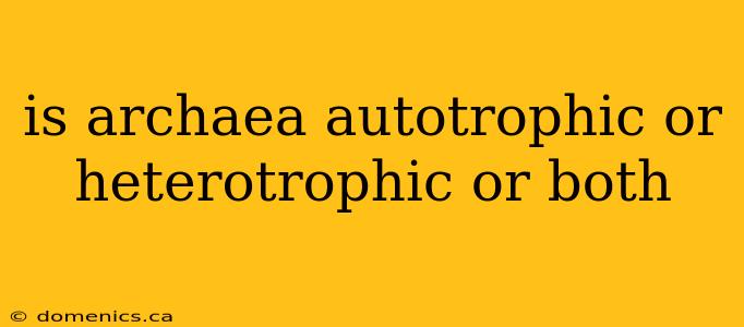 is archaea autotrophic or heterotrophic or both