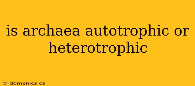 is archaea autotrophic or heterotrophic