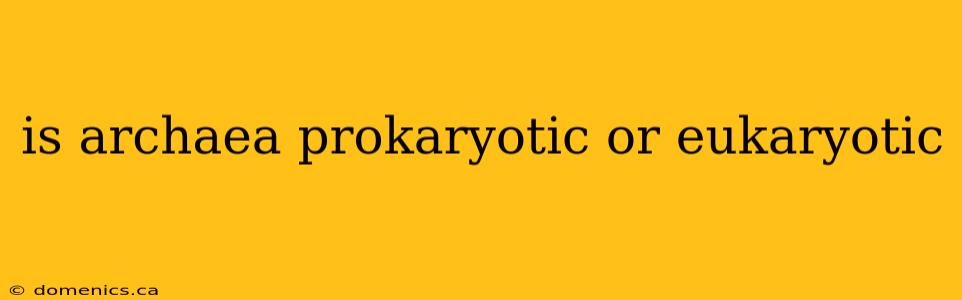 is archaea prokaryotic or eukaryotic