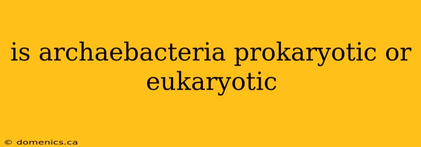 is archaebacteria prokaryotic or eukaryotic