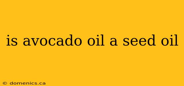 is avocado oil a seed oil
