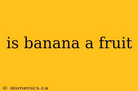 is banana a fruit