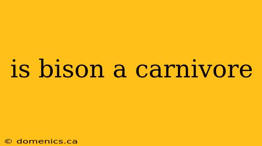 is bison a carnivore