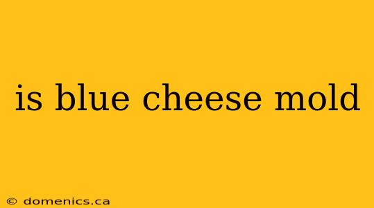 is blue cheese mold