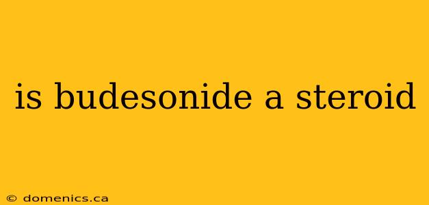 is budesonide a steroid