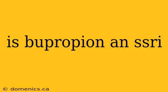 is bupropion an ssri