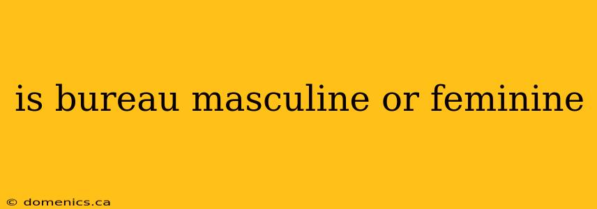 is bureau masculine or feminine