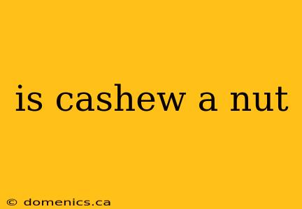 is cashew a nut