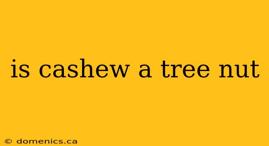 is cashew a tree nut