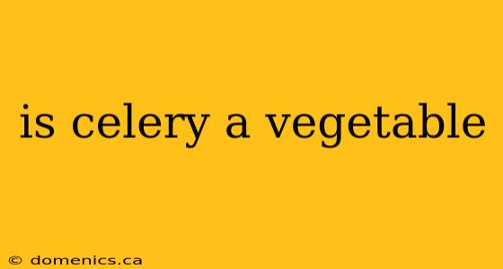 is celery a vegetable