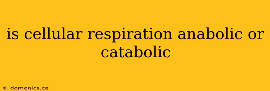 is cellular respiration anabolic or catabolic