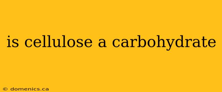 is cellulose a carbohydrate