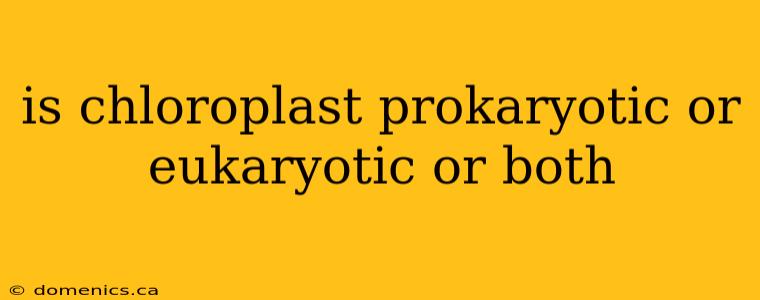 is chloroplast prokaryotic or eukaryotic or both