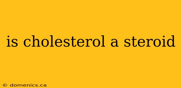 is cholesterol a steroid