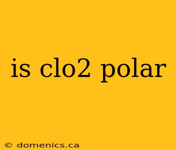 is clo2 polar