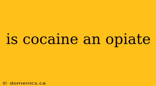 is cocaine an opiate