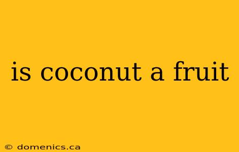 is coconut a fruit
