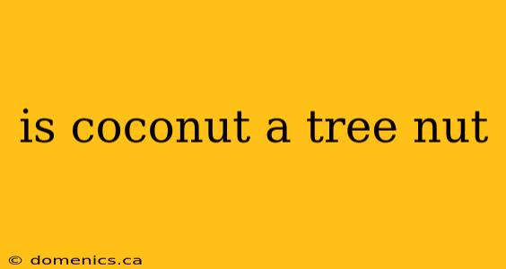 is coconut a tree nut