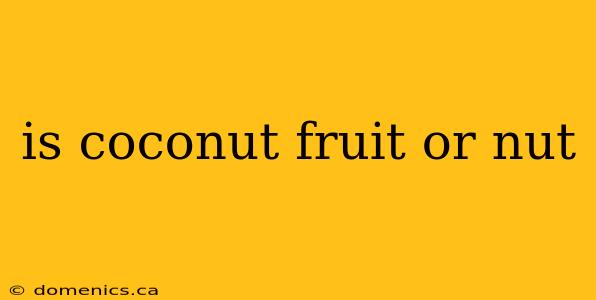 is coconut fruit or nut