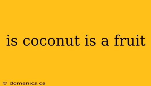 is coconut is a fruit