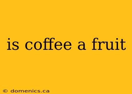 is coffee a fruit