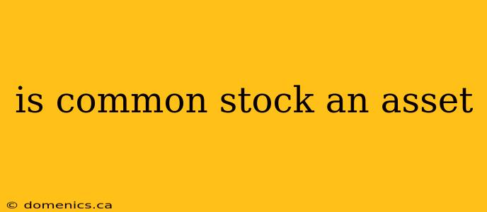 is common stock an asset