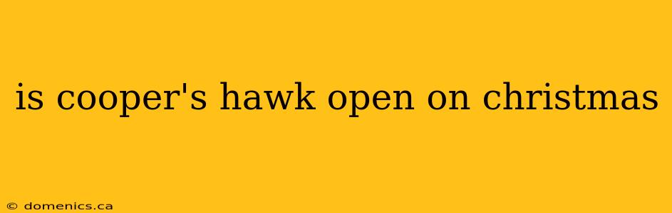 is cooper's hawk open on christmas