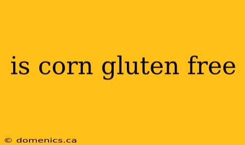 is corn gluten free