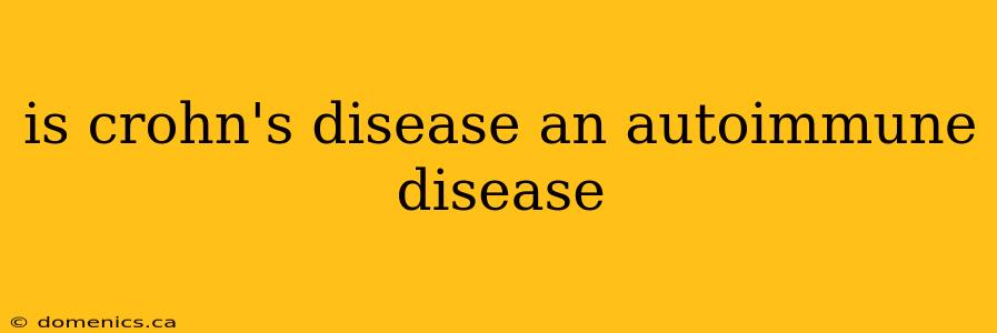 is crohn's disease an autoimmune disease