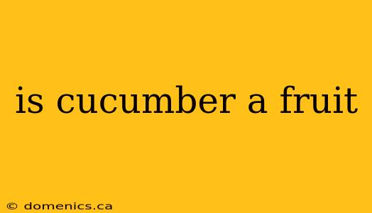 is cucumber a fruit