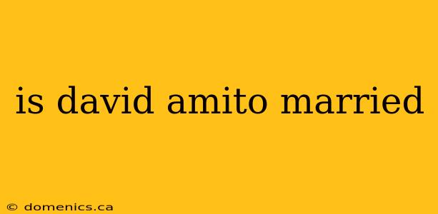 is david amito married