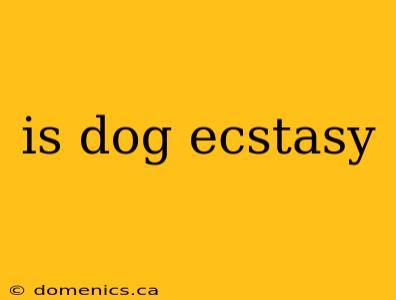 is dog ecstasy