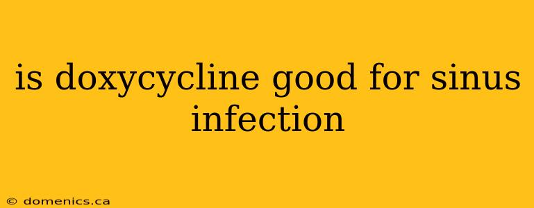 is doxycycline good for sinus infection