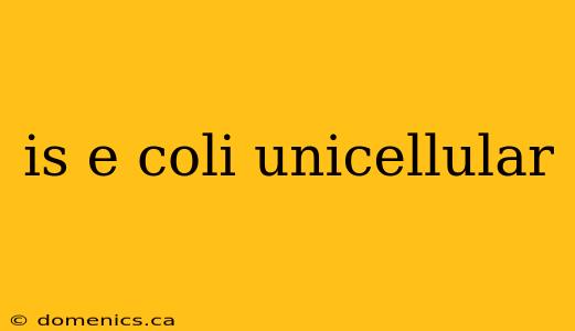 is e coli unicellular