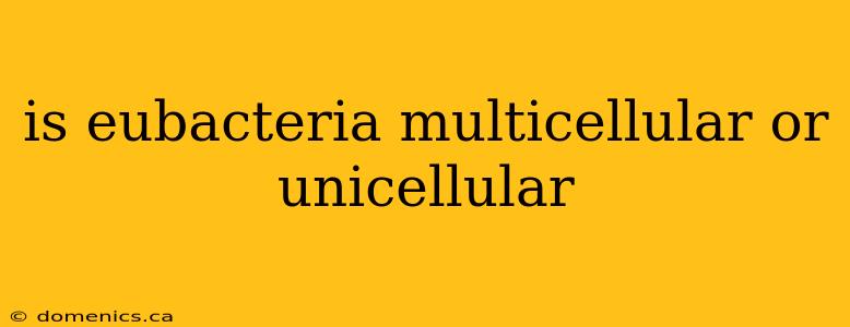 is eubacteria multicellular or unicellular