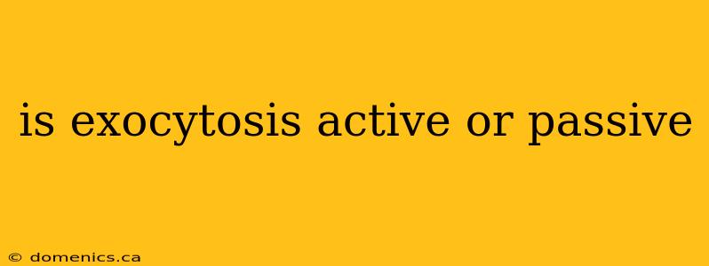 is exocytosis active or passive