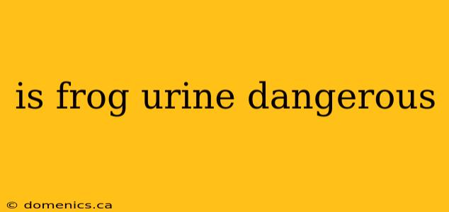 is frog urine dangerous