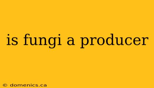 is fungi a producer