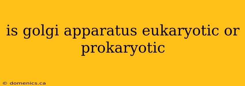 is golgi apparatus eukaryotic or prokaryotic