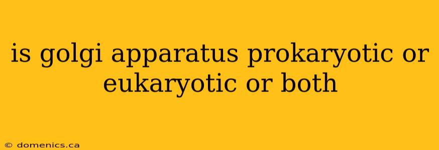 is golgi apparatus prokaryotic or eukaryotic or both