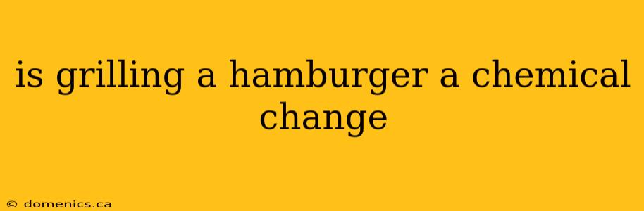 is grilling a hamburger a chemical change