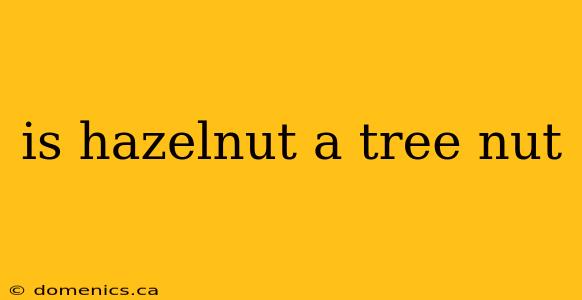 is hazelnut a tree nut