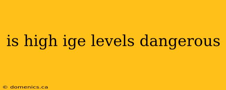 is high ige levels dangerous